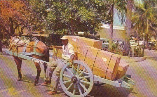 Bahamas Nassau Native Two Wheel Cart