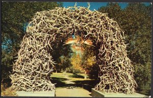 Wyoming JACKSON Elk Horn Arch pm1985 Chrome