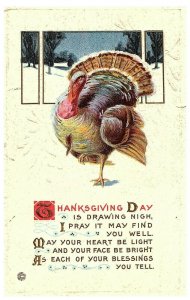 Vtg Stecher Litho Thanksgiving Day Turkey w/ Snow  Embossed Postcard 1915