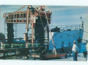 Pre-1980 UNLOADING BANANAS FROM SHIP BOAT Brownsville Texas TX AF3793