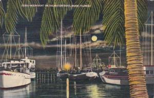 Florida Miami Moonlight On The Waterfront 1941