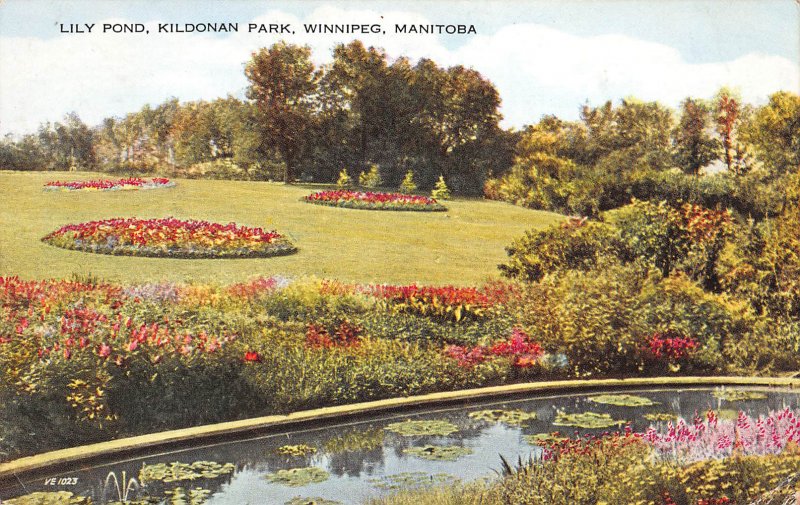 Lily Pond, Kildonan Park, Winnipeg, Manitoba, Canada, Early Postcard, Used