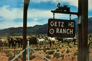 Getz Ranch Postcard Kingman Arizona Horses