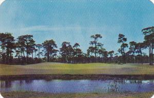 Florida Belleair Pelican Golf and Country Club No 9 Green Largest Green In Fl...