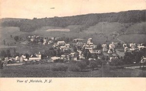 Bird's Eye View in Meridale, New York