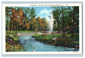 C.1900-07 Hayes Well, Geyser Park, Saratoga, Springs, N.Y. Postcard P154E