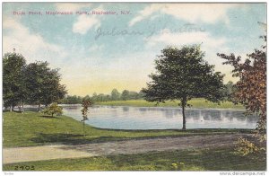 Duck Pond, Maplewood Park, Rochester, New York, PU-1912