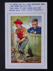 Comic Postcard GARDENING IF GRUBS EAT ALL YOUR RADISHES c1950/60's Bamforth 670