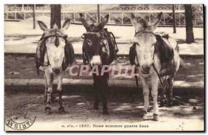 Old Postcard Donkey Mule We are four donkeys