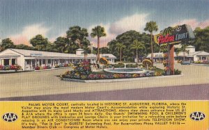 Postcard Palms Motor Court St Augustine FL