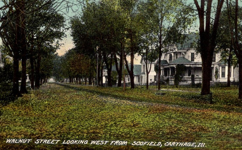 Carthage, Illinois - Leaves on the road on Walnut Street - c1908