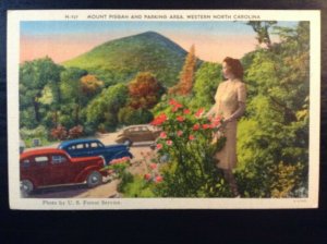 Vintage Postcard 1930-1945 Mount Pisgah, W. North Carolina (NC)