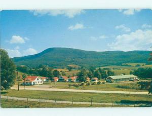 Unused Pre-1980 MOTEL SCENE Bennington Vermont VT B5731