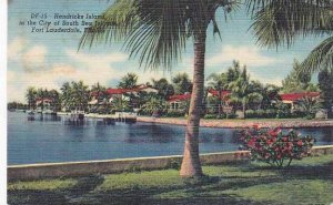 Florida Fort Lauderdale Hendricks Island In The City Of South Sea Island