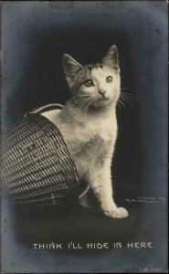 Real PHOTO RPPC Kitty Cat in Basket HIding ROTOGRAPH B1192 c1910 PC