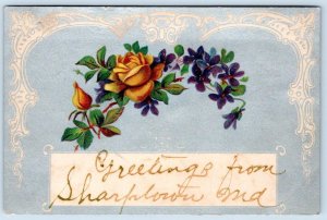 1910's GREETINGS FROM SHARPTOWN MD MARYLAND ANTIQUE POSTCARD