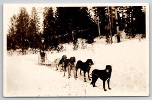 RPPC Man Warren Brown And Sled Dog Team c1920s Photo Postcard U25