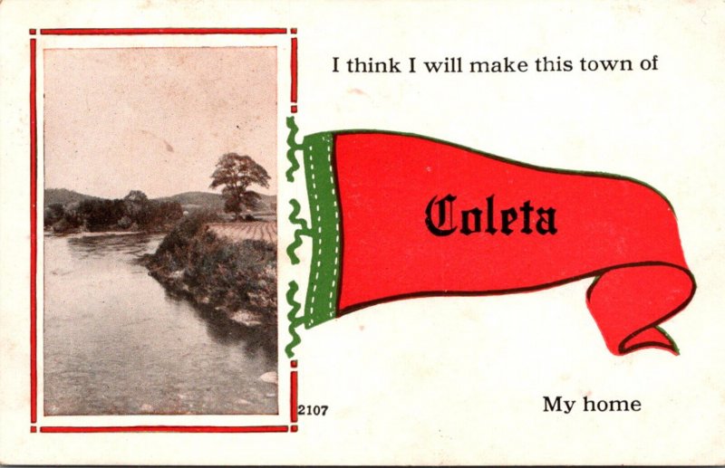 Illinois Coleta I Think I Will Make This Town My Home Pennant Series