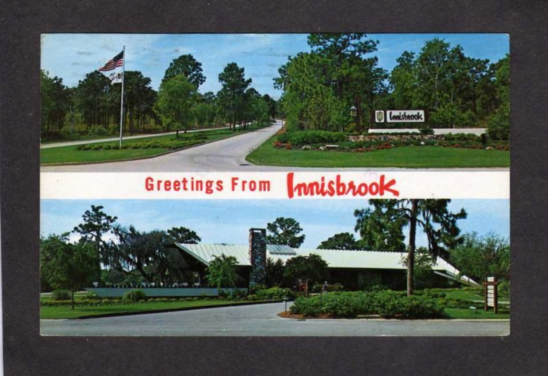 FL Greetings From Innisbrook Golf Course Golfing Tarpon Springs Florida Postcard