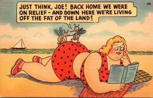 Humour Mosquito With Fat Woman On Beach