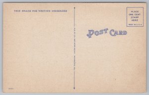 Linen~Dover Delaware~State House~Vintage Postcard