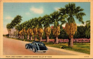 Texas Lower Rio Grande Valley Typical Palm Lined Highway 1947 Curteich