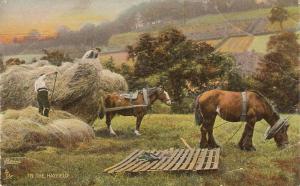  Horses. In the hay field Tuck Rapholette Farm Life Series PC #8074