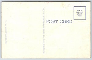 Canada~Needles @ Thousand Islands & St Lawrence River~Vintage Postcard