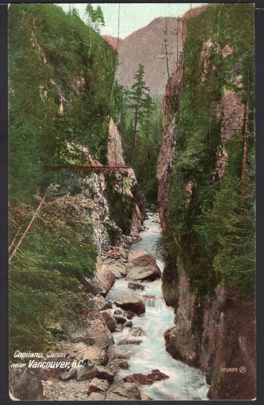 British Columbia Capilano Canyon near VANCOUVER 1900s Und/B Vintage