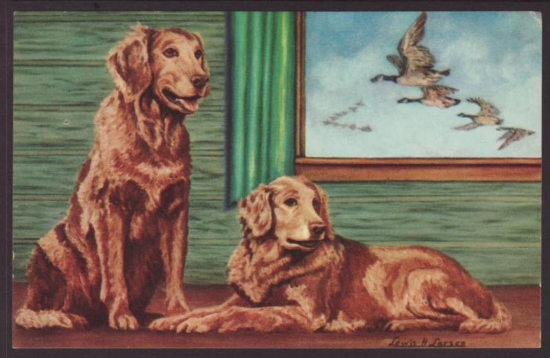 Golden Retriever,Larsen Postcard 