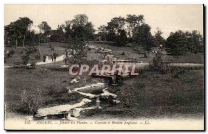 Angers Old Postcard The Garden plants Waterfall and English River