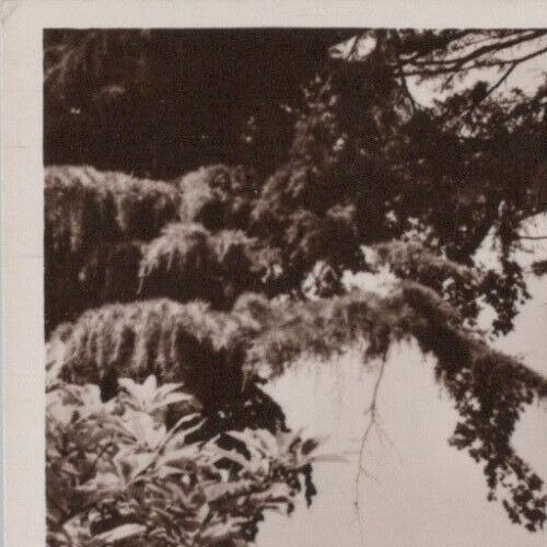 Worcestershire Postcard - Malvern, Priory Park. Real Photo, Posted 1953 -RS39345