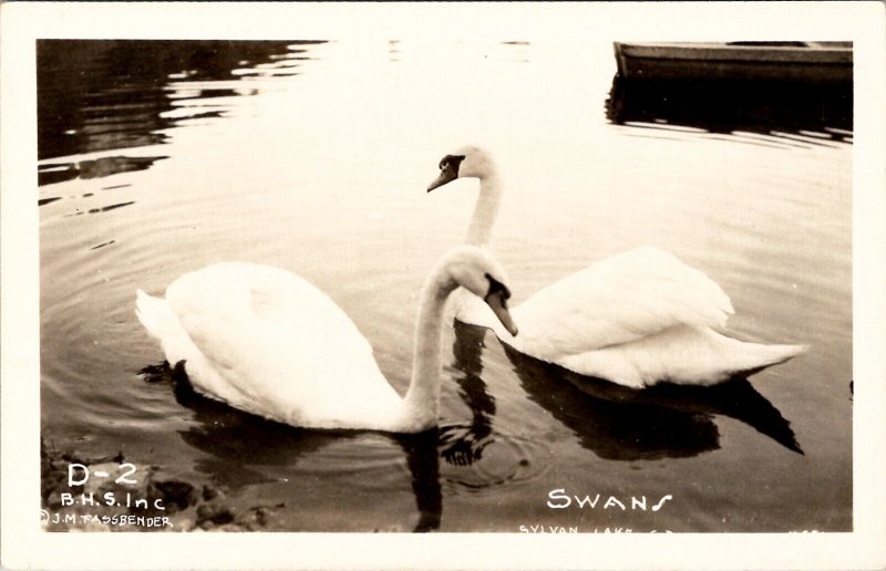 Black Hills SD Swans on Sylvan Lake South Dakota RPPC JM Fassbender Postcard Y7