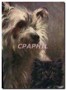 Postcard Old Dogs Puppy Dog Cat