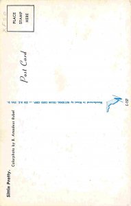 Beautiful Woman In the Woods Pin Up postcard