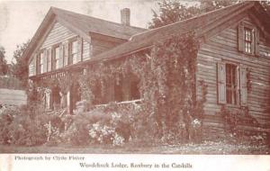 ROXBURY NY CATSKILLS WOODCHUCK LODGE POSTCARD c1906 PHOTO...