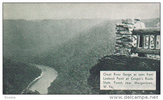 Cheat River Gorge from Lookout Point, Cooper's Rocks State Forest near Morgan...