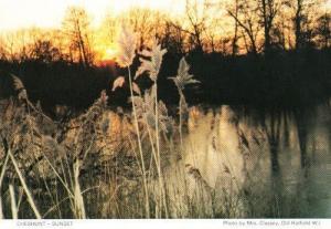 Cheshunt Golden Sunset Herts Hertfordshire Womens Institute Postcard