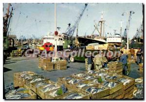 Modern Postcard Boulogne P C Unloading fish