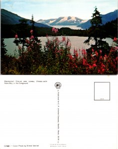 Mendenhall Glacier Juneau Alaska (14405