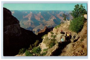 Vintage Grand Canyon National Park Arizona Postcard F114E