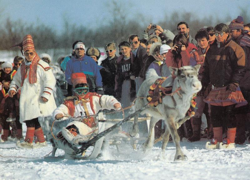 Reindeer Racing in Finland 1980s Sports Postcard