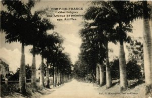 CPA Fort de France Une Avenue de palmiers aux Antilles MARTINIQUE (872266)