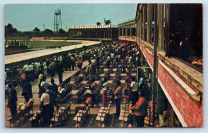 1960 Palm Beach Florida FL Vintage Postcard Kennel Club Greyhound Racing Crowd