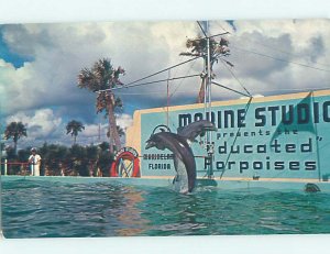 Pre-1980 MARINELAND SCENE Between Palm Coast & St. Augustine FL AF9574-13