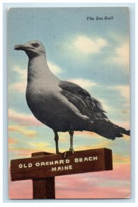 1951 The Seagull Monument, Old Orchard Beach Maine ME Vintage Postcard