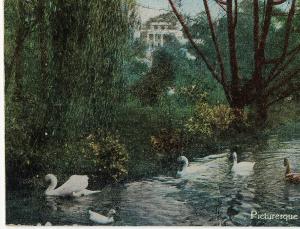 1921 Hershey PA Picturesque Spring Creek Swans Dauphin County RARE DB Postcard