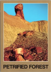 Postcard AZ Petrified Forest National Park - Broken up petrified logs