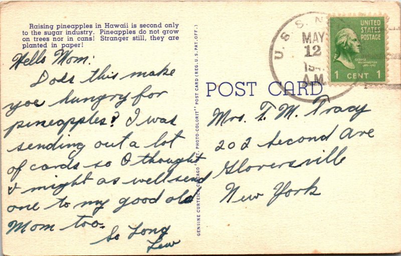 Pineapple Field Near Honolulu,HI