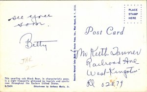 Yearling Cub Black Bear Eastern United States Anthony Marie Wob Note Postcard 